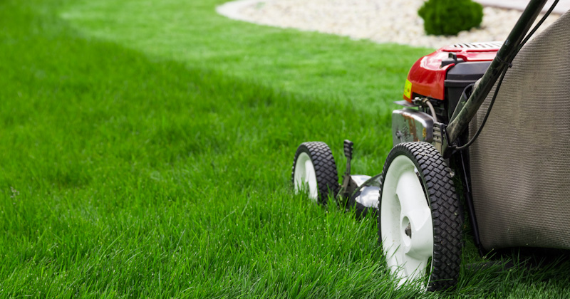 Lawn Mowing Prices