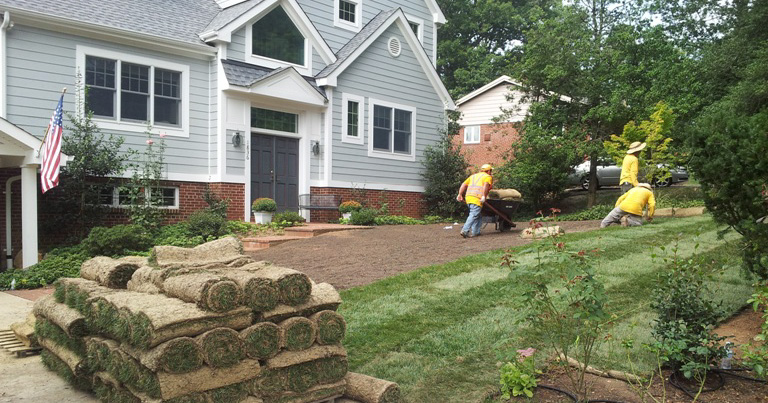 Sod Installation Cost