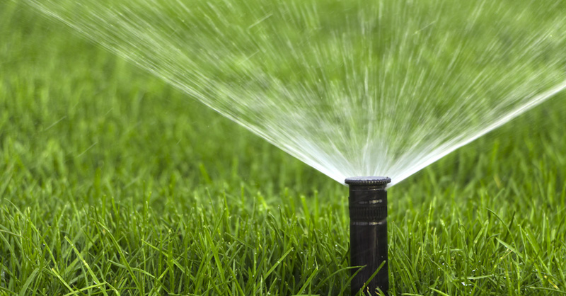 Sprinkler System Cost